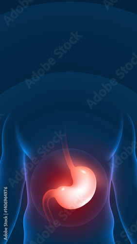 Medical health vertical illustration human stomach highlighting reminder
