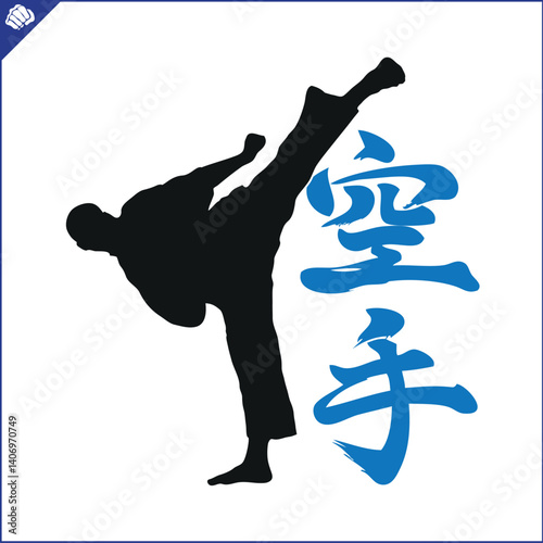 Karate emblem. Martial art colored symbol design. Vector.