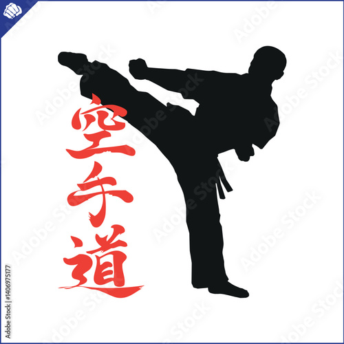 Karate emblem. Martial art colored symbol design. Vector.