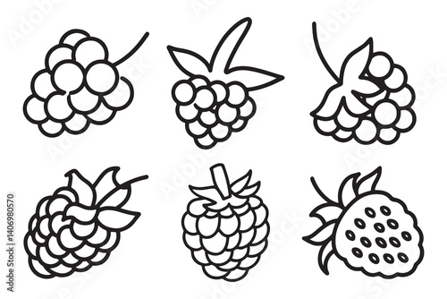 Raspberries Fruit line art set isolated flat vector illustration on white background