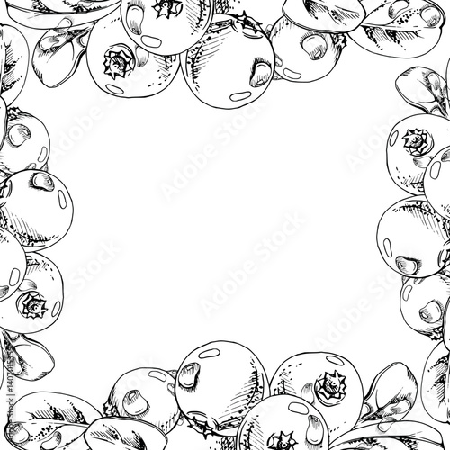 Cranberry lingonberry with green leaves, water dew drops, vector hand drawn in ink, ripe forest berry bearberry teaberry wintergreen. Isolated square corner frame. Dessert cafe menu, farmers market