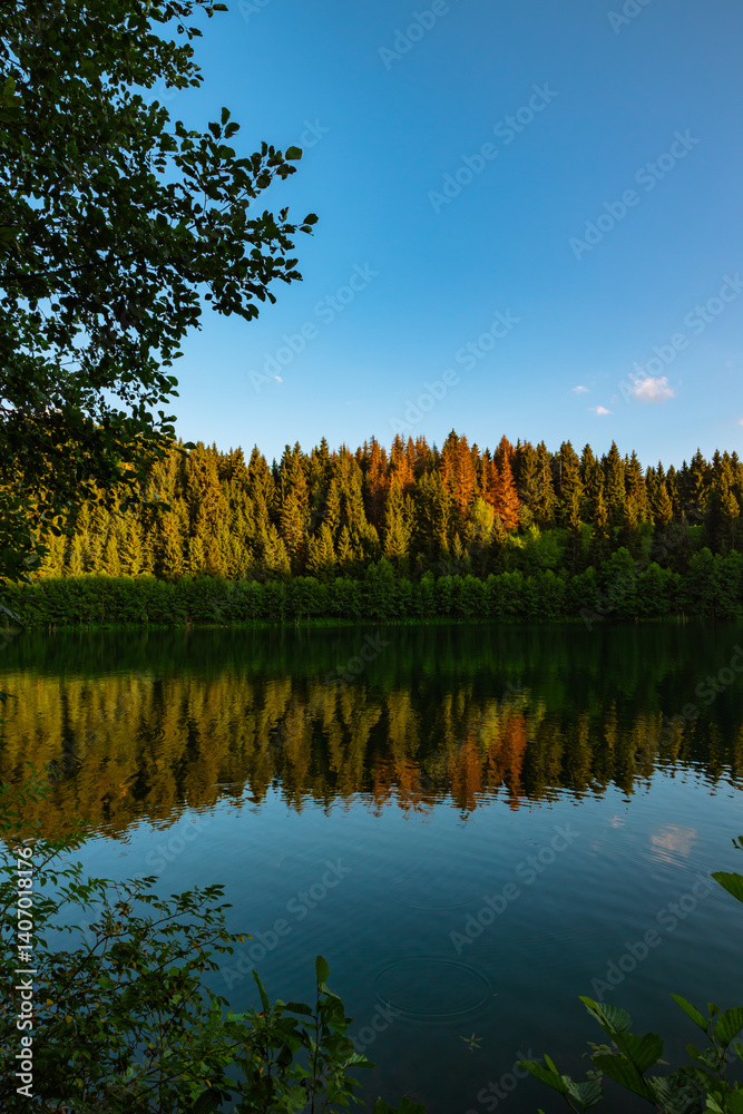 Karagol lake and forest view. Karagol lake in Artvin province of Turkey