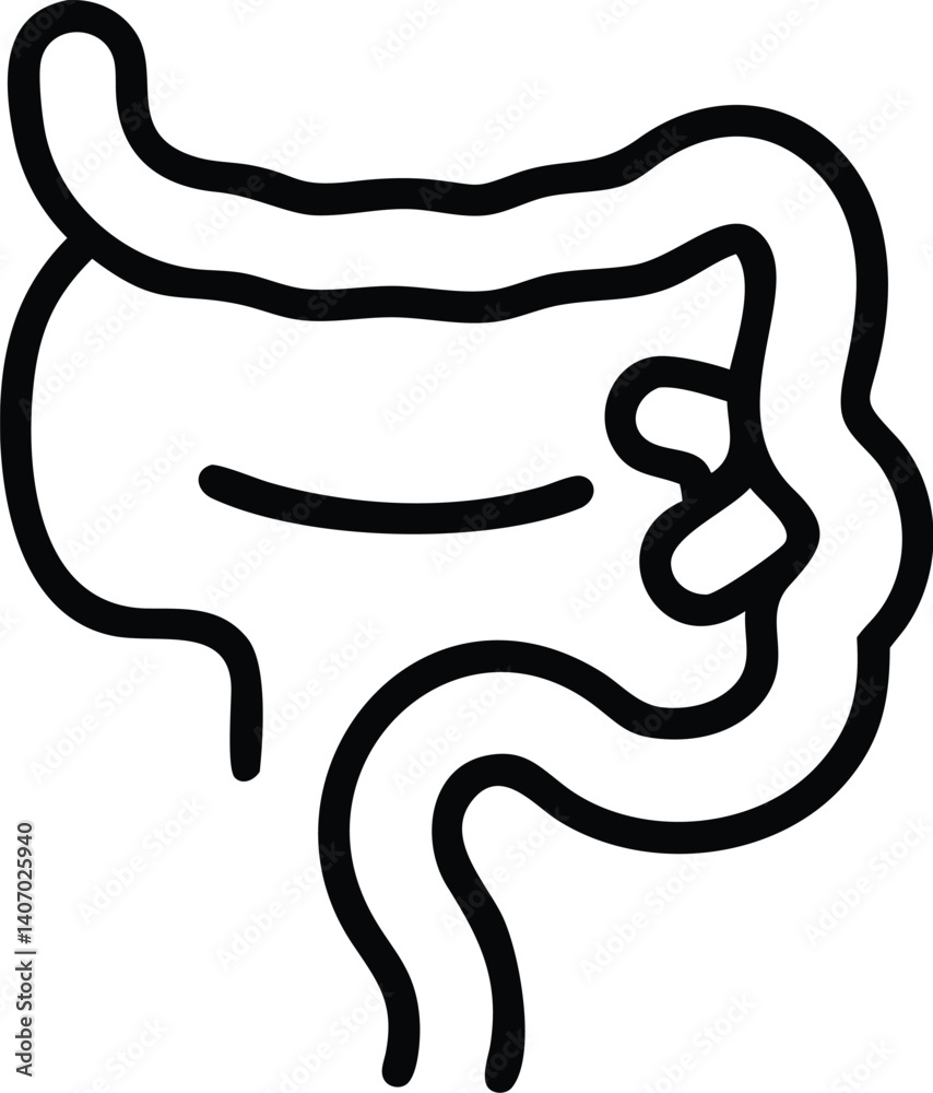 Obraz premium line drawing, digestive system, intestines, minimalist, black and white, medical illustration, simplified anatomy, curvy lines, abstract representation, biology diagram, gut health, internal organs,