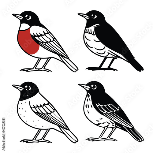 Set of 4 American Robin– Iconic North American Songbird in Natural Poses, Ideal for Ornithology Graphics, Wildlife Education, Seasonal Themes, and Nature-Inspired Design Projects