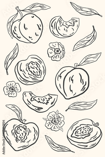 Hand drawn peach fruits with leaves and flowers. Sketch doodle sweet fruit. Summer fruit poster for pattern, poster, card, banner, cover. Vector La dolce vita italian style botanical illustration