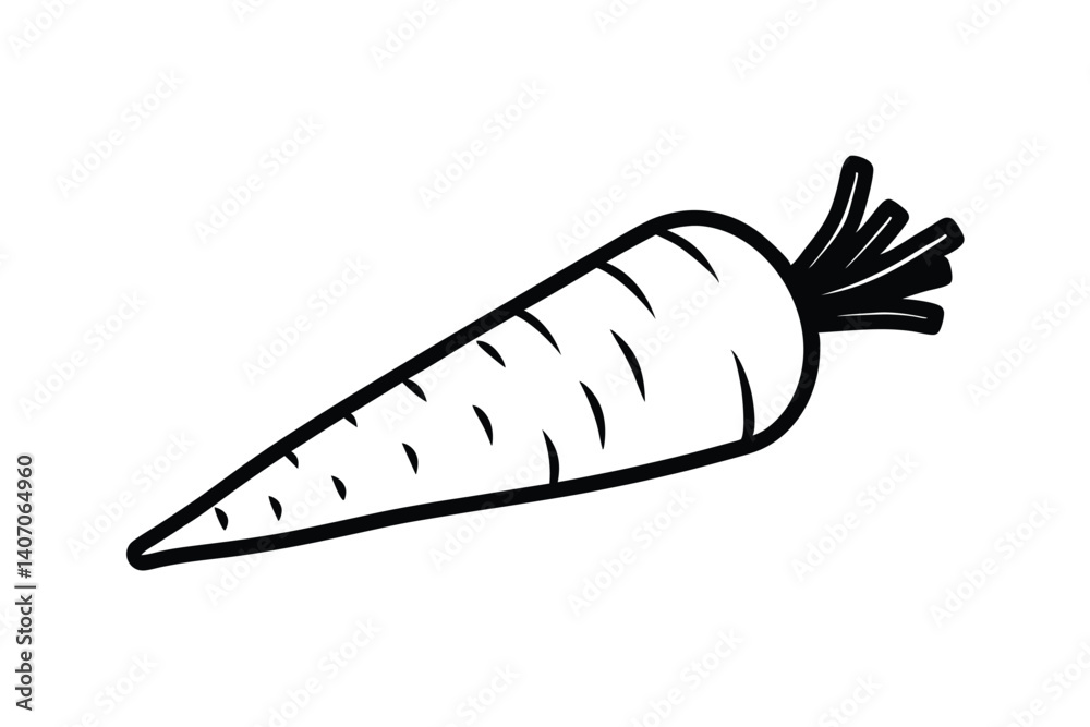 Black And White Outline Drawing Of A Single Fresh Carrot Illustration Black And White Outline Drawing Of A Single Fresh Carrot Illustration