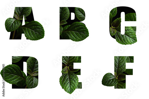 Letters A B C D E F with leaves in text alphabet