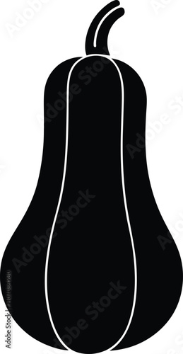 Butternut Squash silhouette vector illustration Isolated on white background