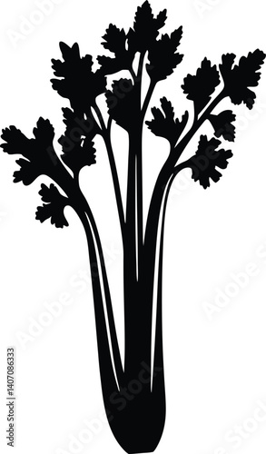 Celery plant. Harvest vegetable. Apium graveolens. Agriculture cultivated plant. Green leaves.