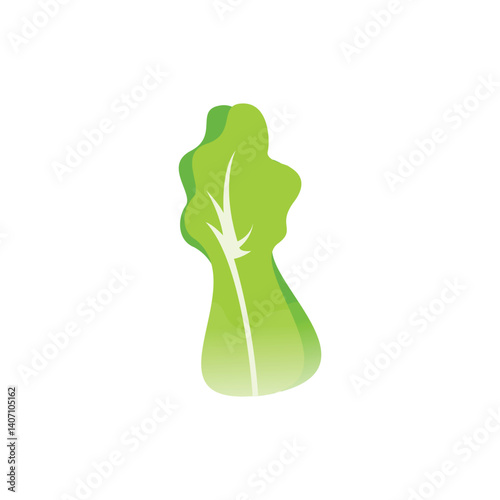 cabbage illustration design