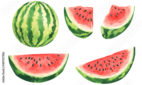 Vibrant Watercolor Vector Set of Ripe Watermelon Illustrations for Food and Design Projects