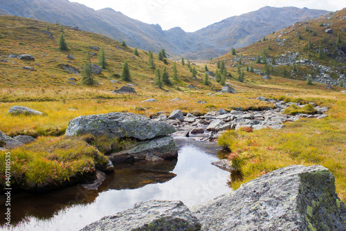 A clear mountain stream on the green meadows in the Austrian Alps