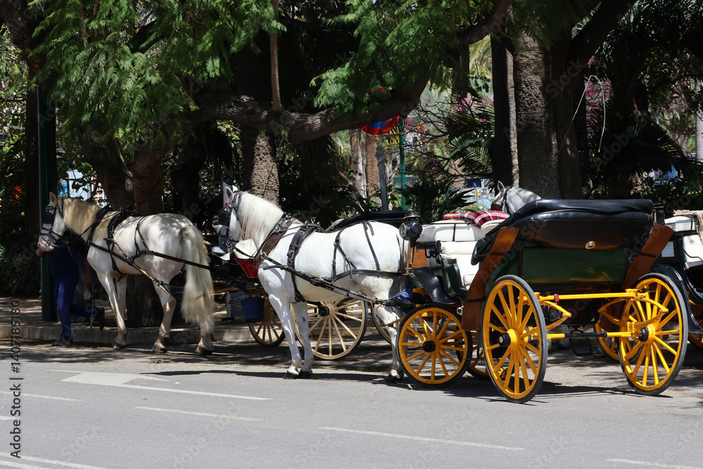 Malaga Spain April 6th 2025 Photo of horse and carriage for hire. Sightseeing on a sunny day. Malaga Spain April 6th 2025 Photo of horse and carriage for hire. Sightseeing on a sunny day.