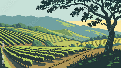 Vineyard landscape with mountains in Napa Valley – California, USA
