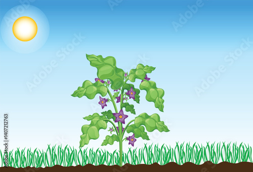 Photosynthesis process. Tree produce oxygen using rain and sun. Process of photosynthesis in plant. Colorful image for education in flat style