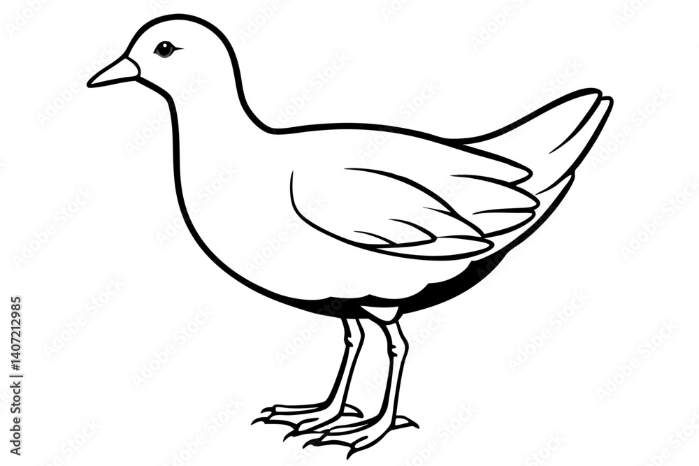 Fototapeta premium Modern Moorhen Silhouette