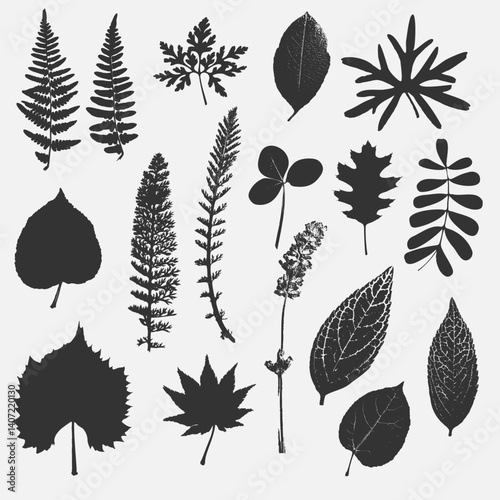 Silhouettes of tree leaves, fern, clover, lavender, isolated on a light background, vector