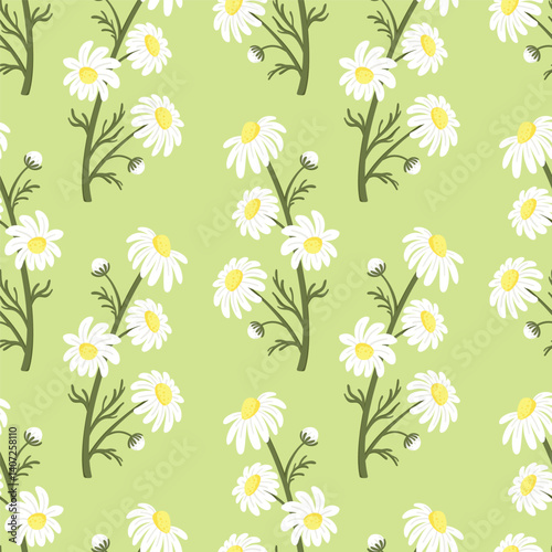 Blooming Chamomile Seamless Pattern with Flower Branches on Light Green Background. Cute Spring Daisy Floral Design for Fabric, Wrapping Paper, Textile or Packaging
