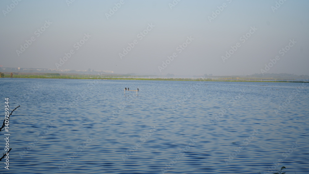 Obraz premium Lake and blue sunny sky. Bird standing on river or lake.
