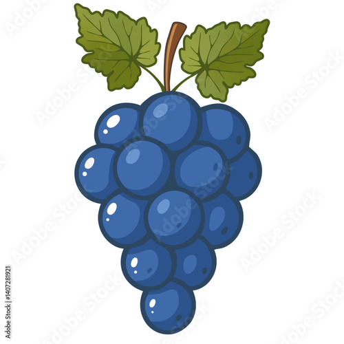 leckere blaue Weintrauben