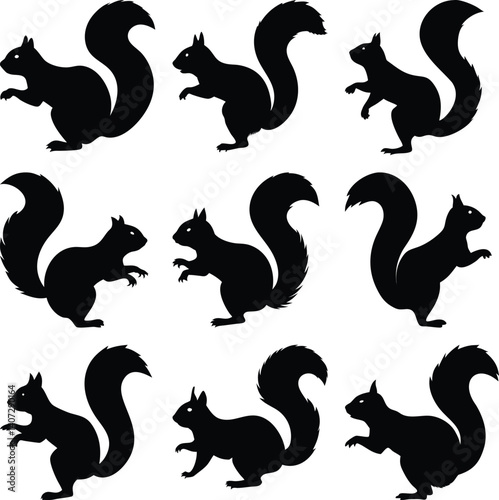 Squirrel Silhouettes with Bushy Tails on a Transparent Background Posing in Various Views