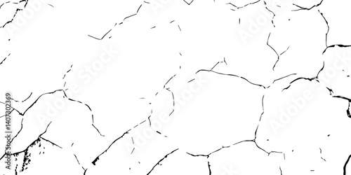 The Timeless Dance of Decay: A Deep Exploration into the Layers of Scratches, Cracks, and Worn Surfaces That Preserve the Stories of Forgotten Eras"
