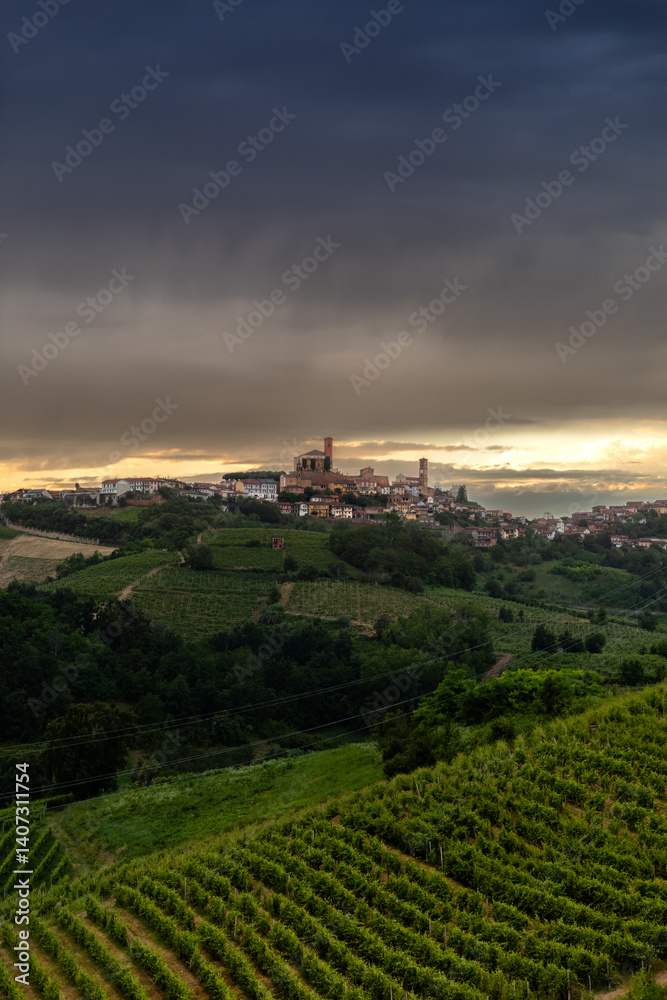 Fototapeta premium Vineyard in Piedmont landscape