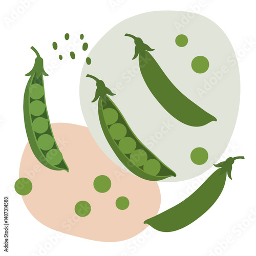Flat Design Illustration of Green Peas in Pods