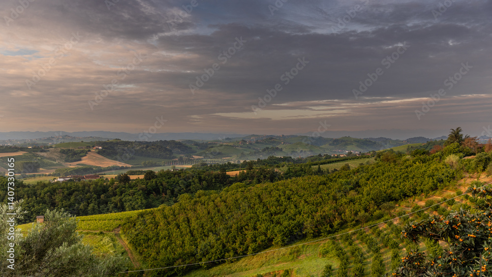 Naklejka premium Sunrise over vineyards near Cisterna D'asti, Piedmont