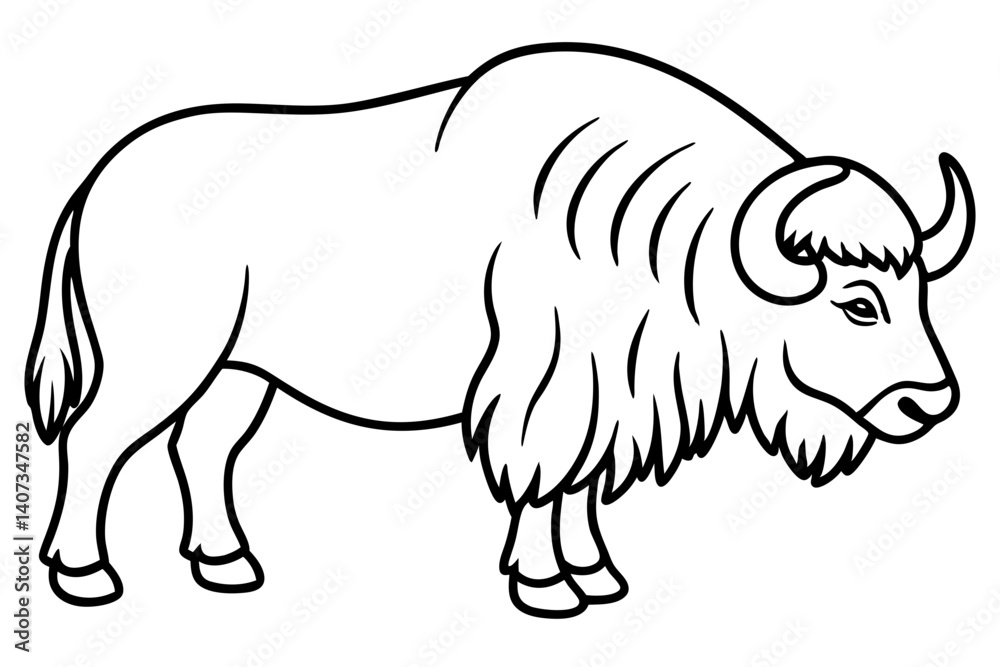 Obraz premium Musk Ox Elegant Linework