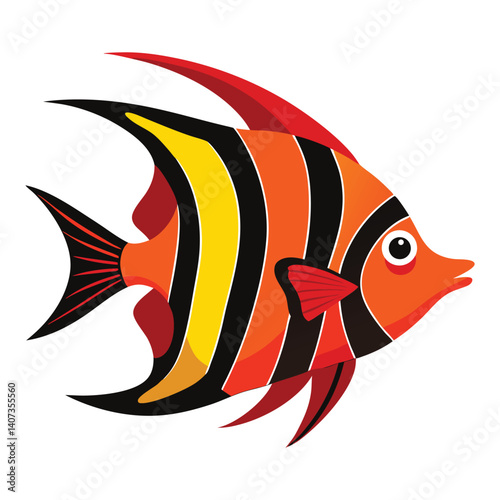 flame angelfish fish on white background.