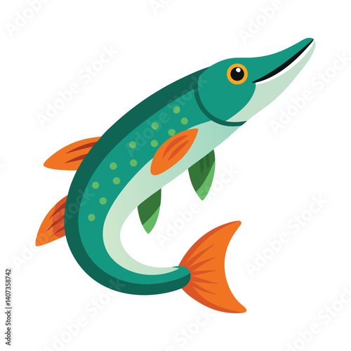 pike fish on white background