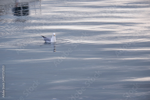 sea
