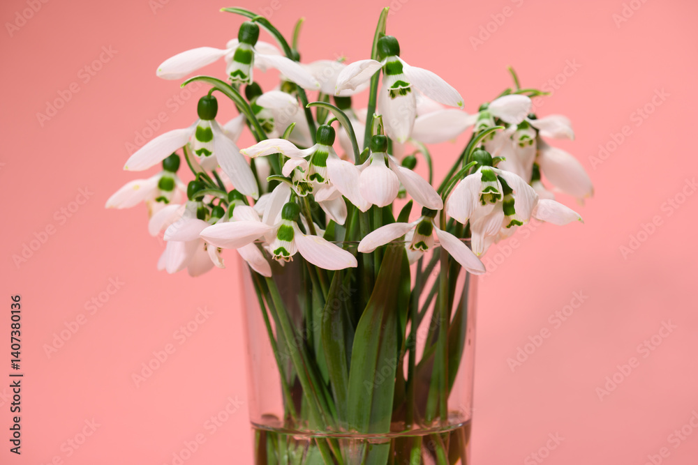 bouquet of blooming snowdrop flowers in a glass vase on a peach color background