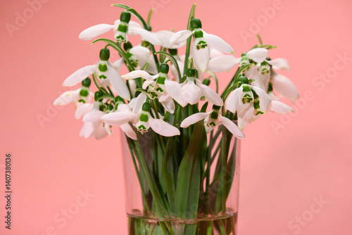 Obraz na płótnie bouquet of blooming snowdrop flowers in a glass vase on a peach color background w salonie
