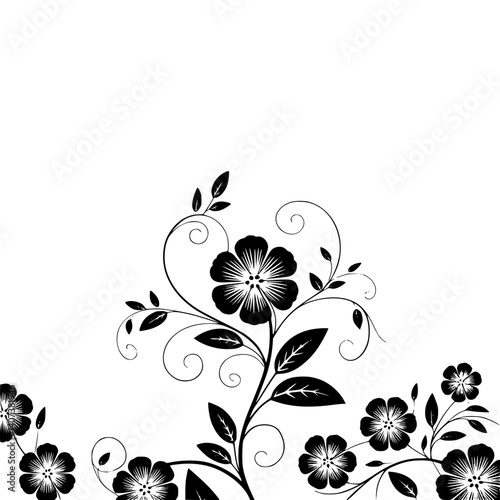 Elegant Floral Ornament, Black and White Design, Decorative Background