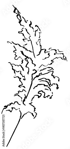 Obraz na płótnie Hand drawn pampas grass, black outlines tropical wedding element, Bohemian isolated illustration w salonie