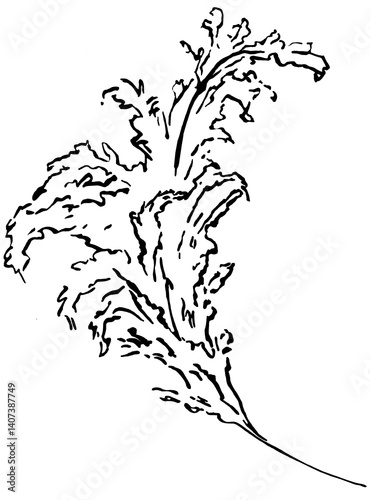 Obraz na płótnie Hand drawn pampas grass, black outlines tropical wedding element, Bohemian isolated illustration w salonie