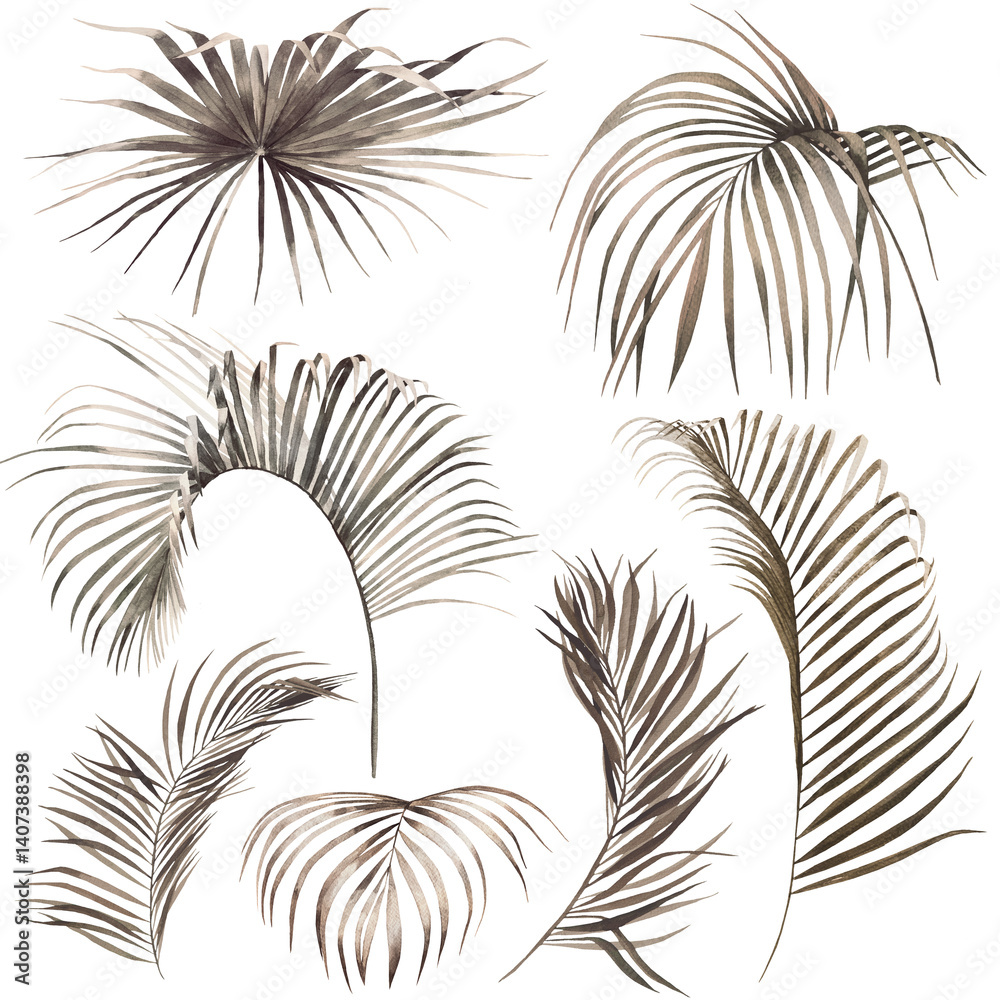 Watercolor brown palm leaves isolated illustration, tropical exotic wedding element