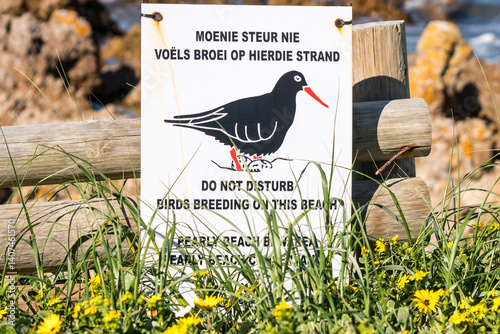 bird protection sign or signage on a beach, birds breeding ground such as African black Oystercatcher birds environmental protection and ecotourism in South Africa