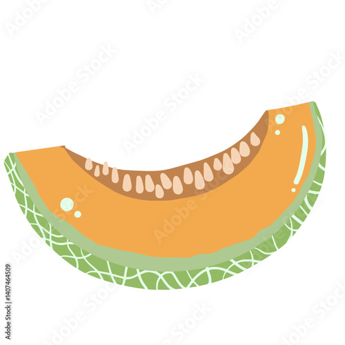 A honey dew melon hand drawn clean colorful illustration  
perfect for summer fruit designs, market, dessert gifts, greeting cards, print, textile