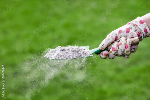 Schilderij op canvas Ash in Garden