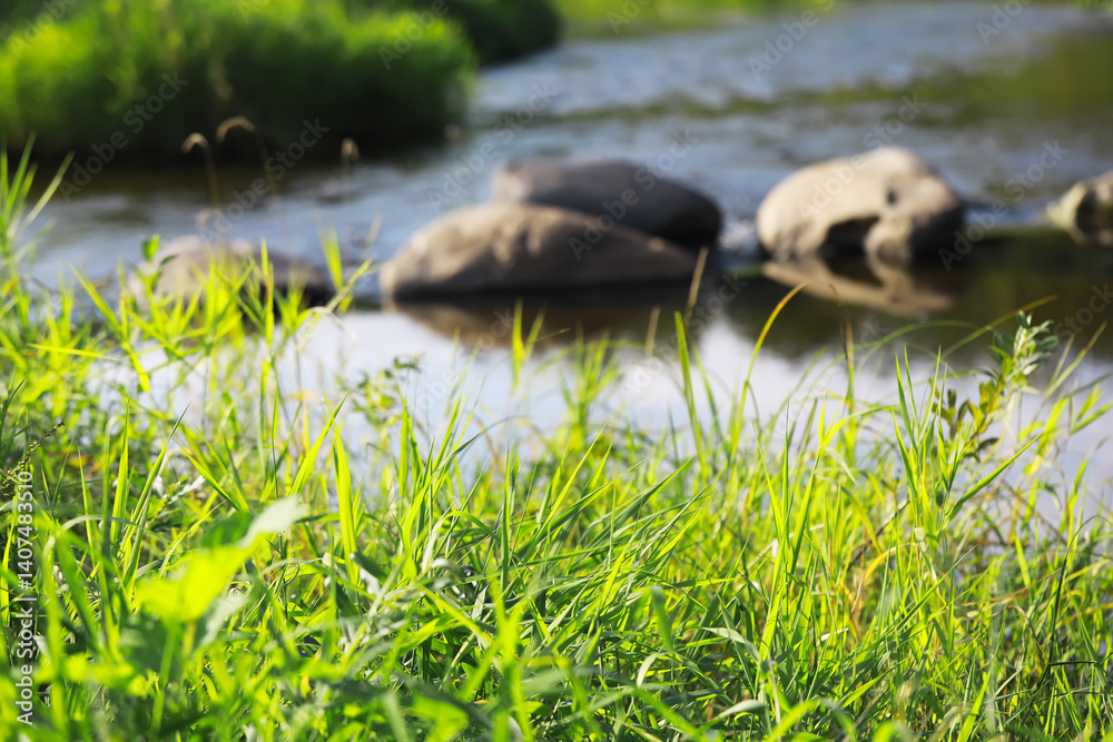 Fototapeta premium Serene Riverbank with Lush Green Grass, Flowing Water, Rocks, and Summer Nature Scenery