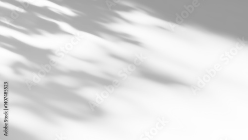Overlay effects of realistic tree branch and leaves shadows isolated on transparent background,mockup of shadow for product presentation, backdrop,Summer sunlight and shadow overla