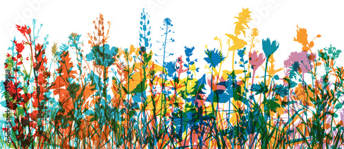 Grass with herbs and wild flowers. Colorful vector isolated silhouette of floral meadow. Horizontal border.