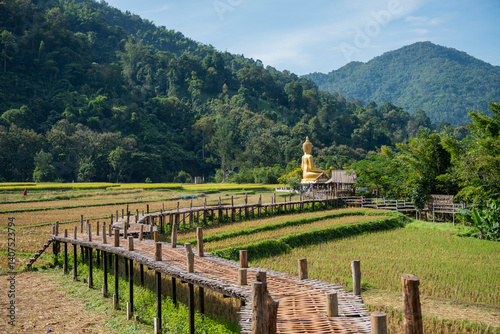 THAILAND PHRAE WAT NA KHU HA BUDDHA photo