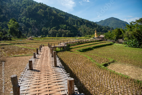 THAILAND PHRAE WAT NA KHU HA BUDDHA photo