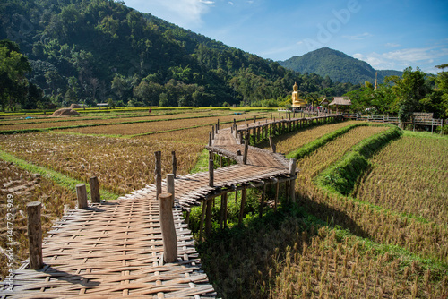 THAILAND PHRAE WAT NA KHU HA BUDDHA photo
