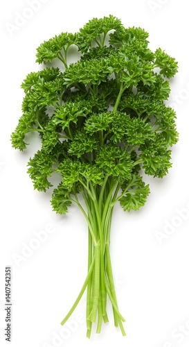 Close-Up of Fresh Parsley on White Background