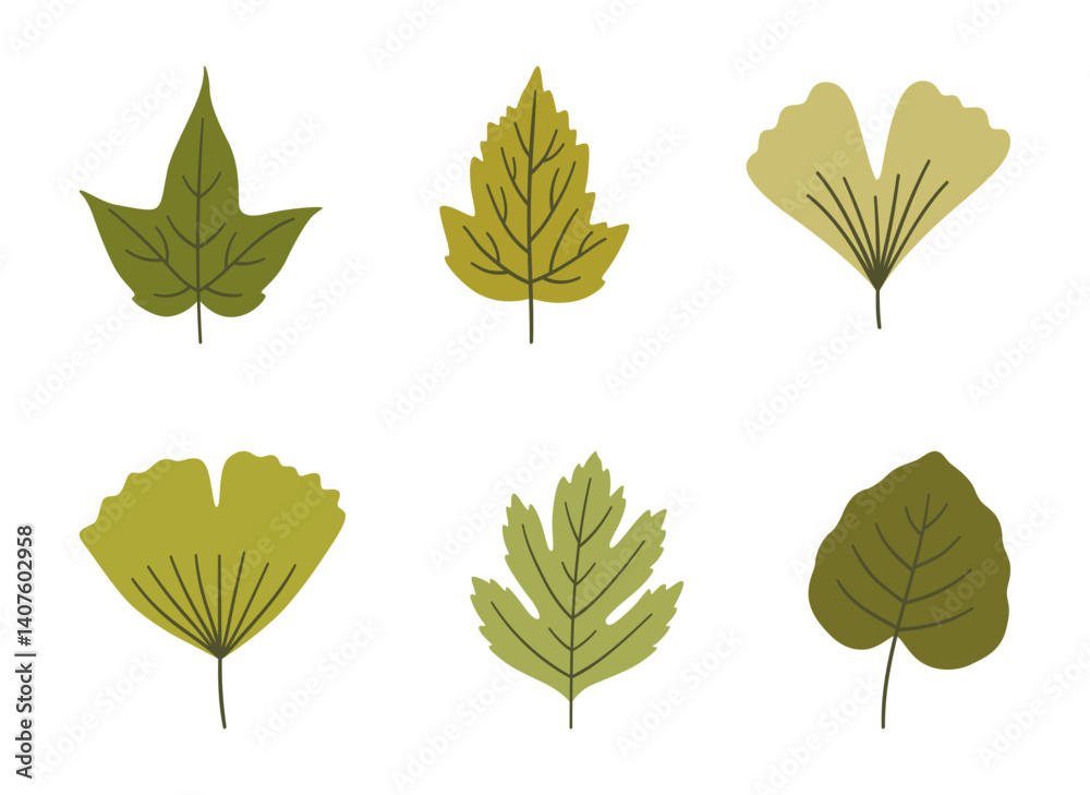 Obraz premium Set of various spring leaves in green colors. Summer background, foliage of maple, ginkgo, aspen, and hawthorn, isolated on white. Leaf icons, vector illustration
